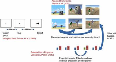 Different Markov chains modulate visual stimuli processing in a Go-Go experiment in 2D, 3D, and augmented reality